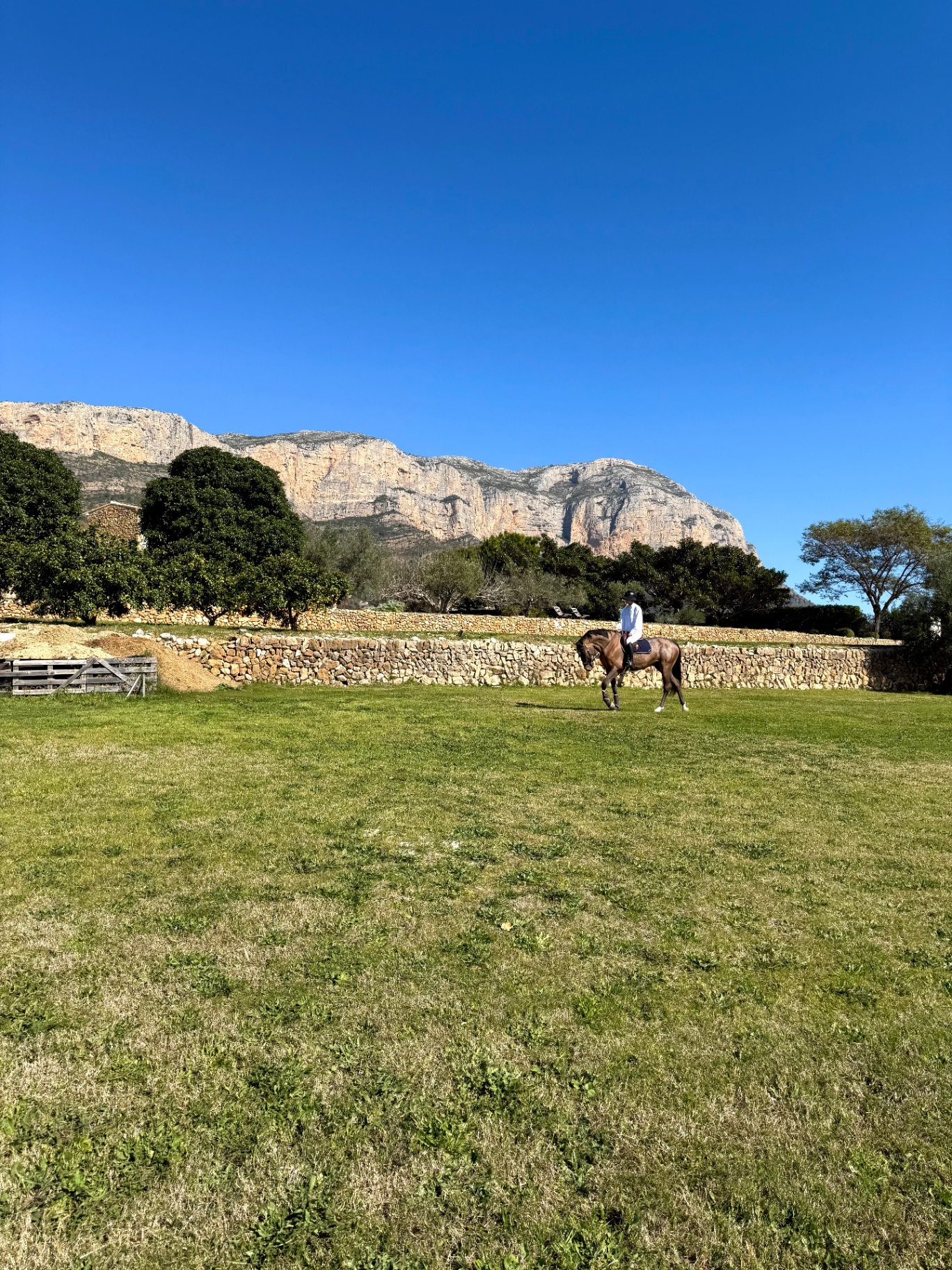 Estate view with Montgó mountain in the background