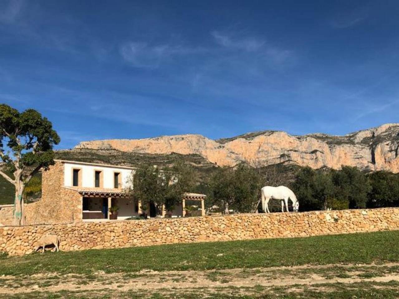 The finca with mountain view